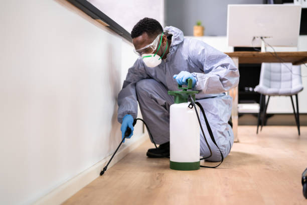 Real Estate Pest Inspections in Granite City, IL